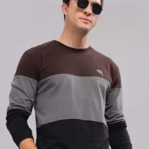 RFS006||CHARCOAL|| Full Sleeve Round Neck T-Shirt